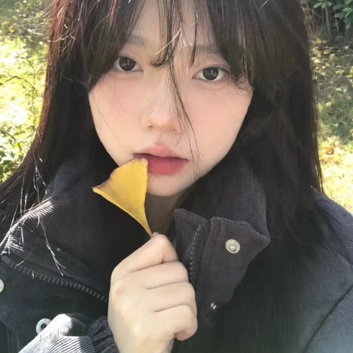 小黄历险记